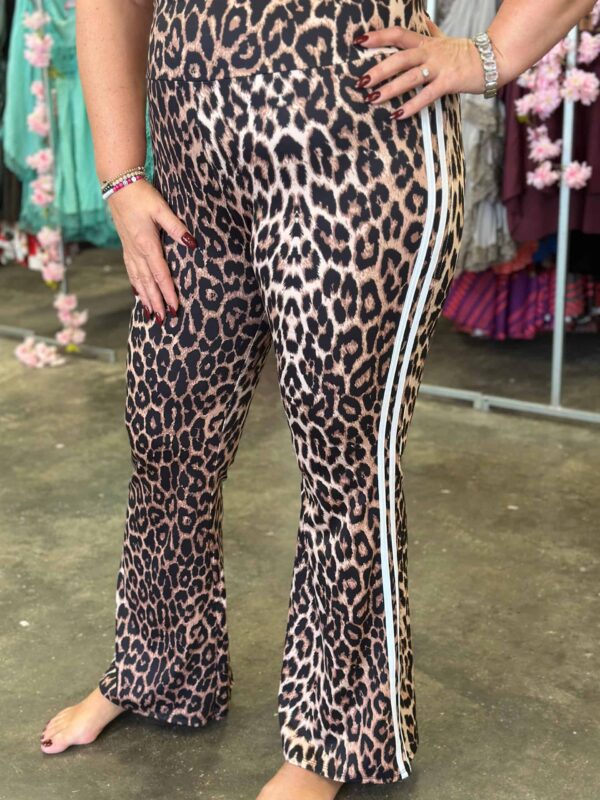 WhatsApp Image 2025-07-30 at 10.50.26