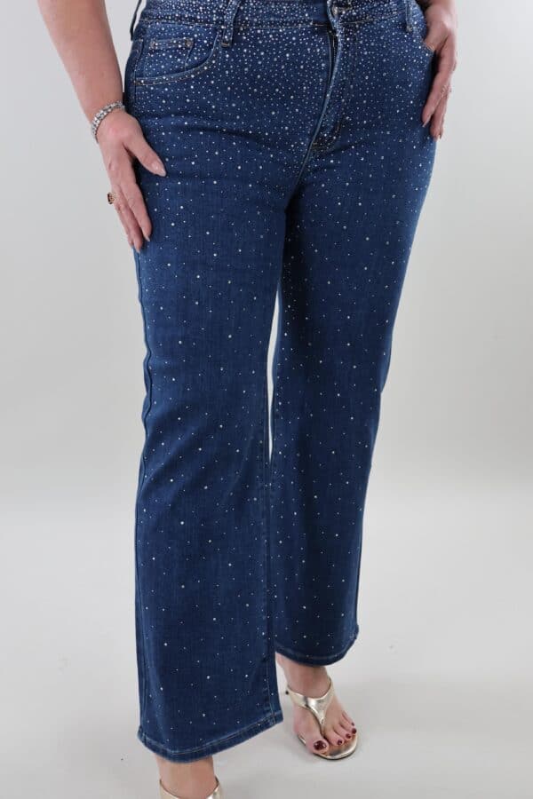 Gratis verzenden - Jeans 5039 sparkle wide leg