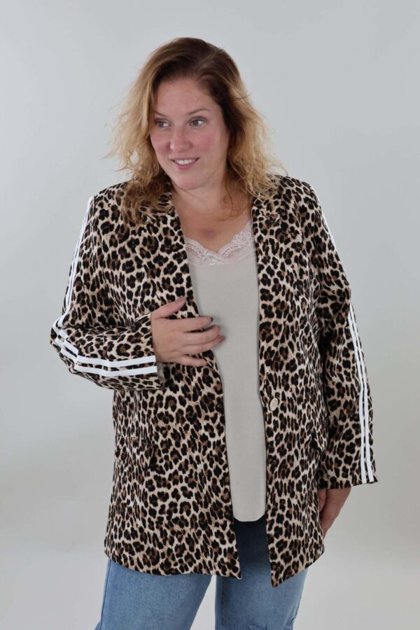 WhatsApp Image 2025-09-24 at 19.11.39