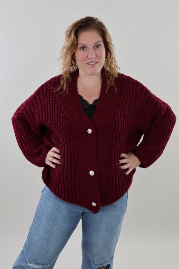 Sale 9151 gebreid vest