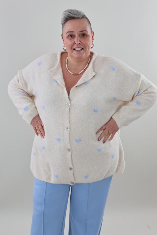 9565 Knitted hartjes vest