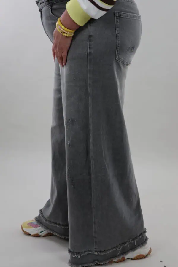 0039 v2