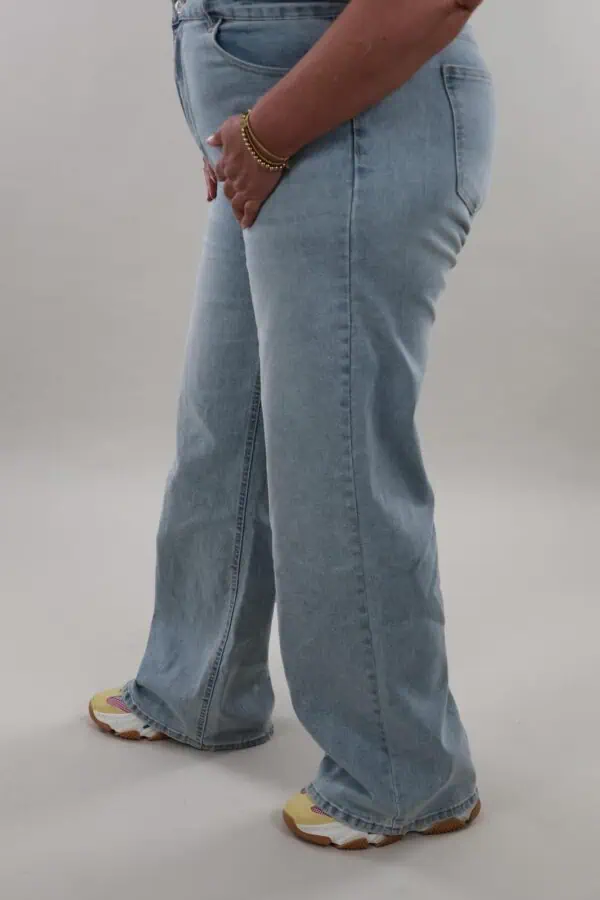 Monday jeans 25 wide leg v2