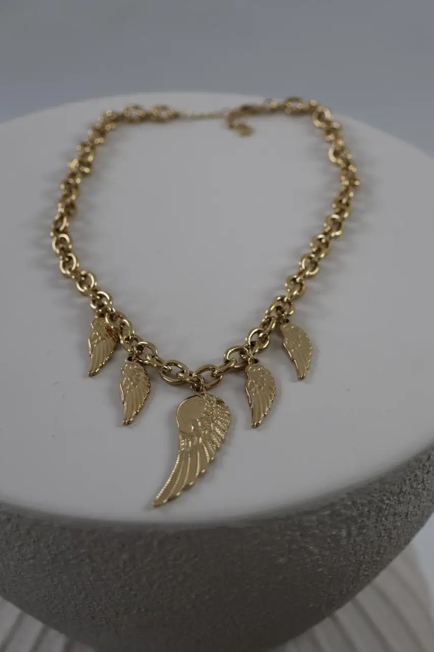 ketting 24 v2
