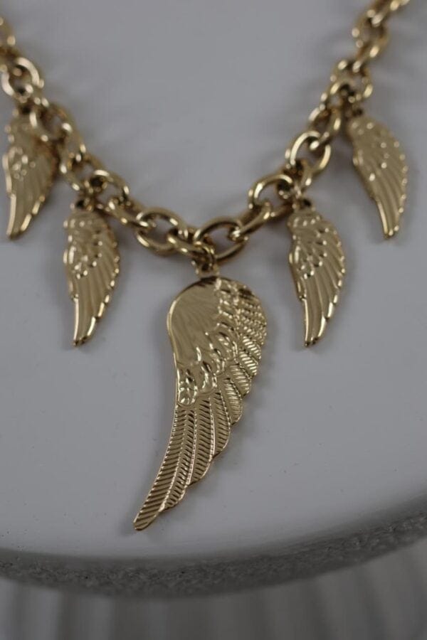 ketting 24 v3