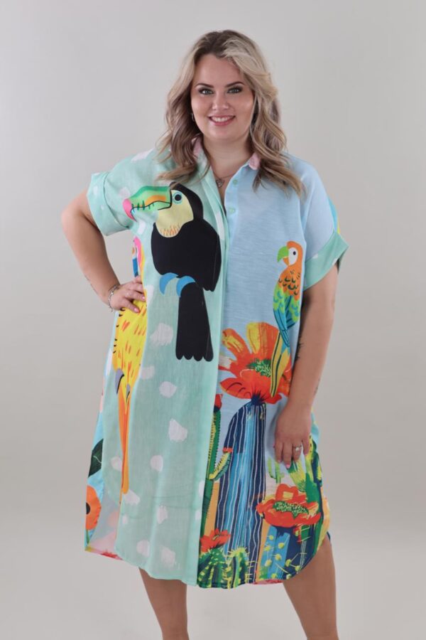 1003 Blouse Dress Birds