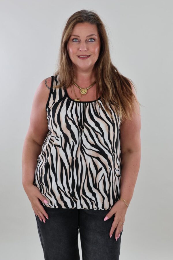 9946 Hemdje Ballon Travel Zebra