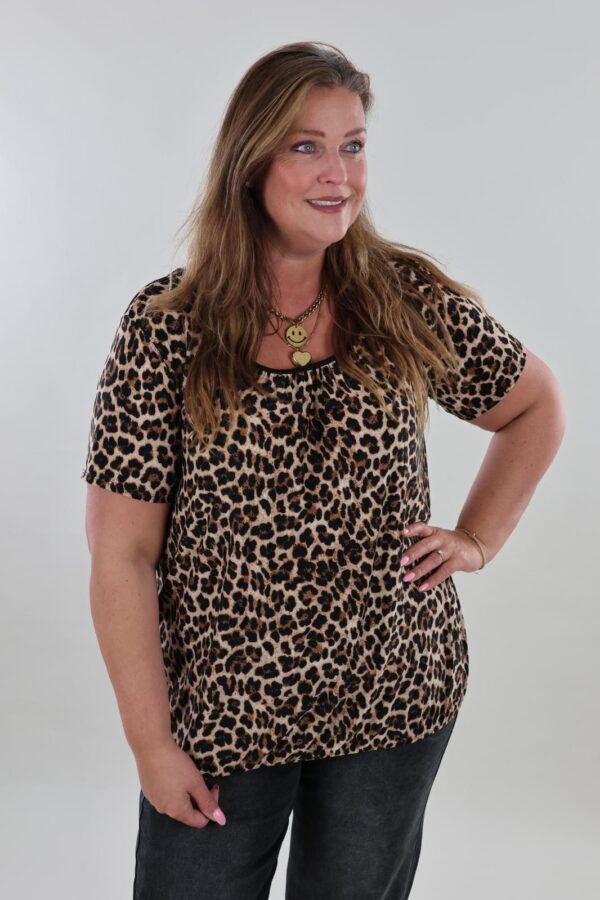 9953 Top Ballon Travel Panter