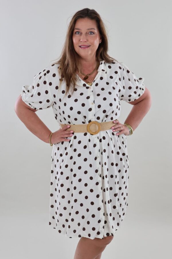 9978 Dress Polka Belted