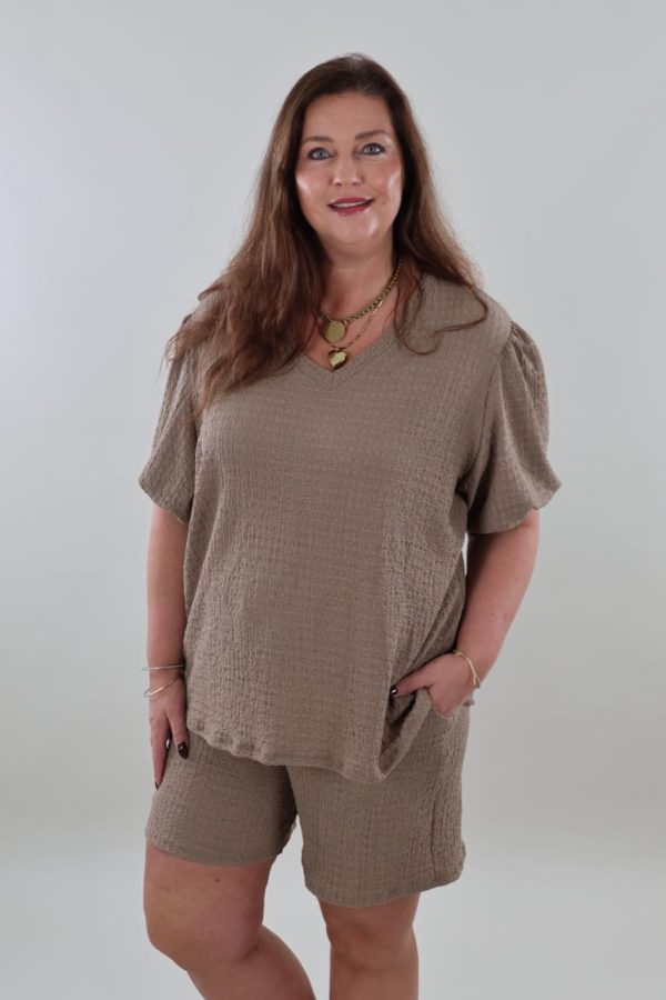 1187 taupe v3