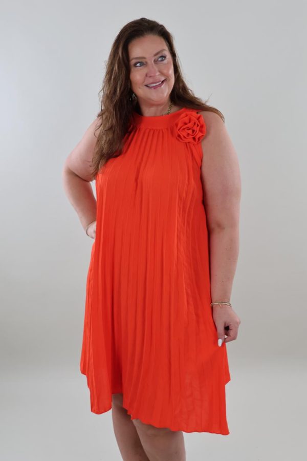 1397 Dress Plissé Rose