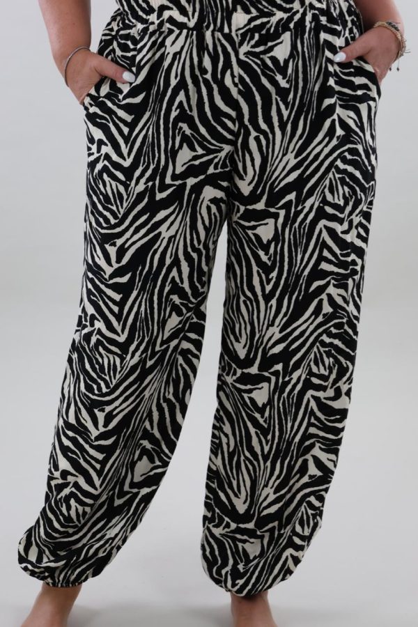 1583 Broek Balloon Zebra