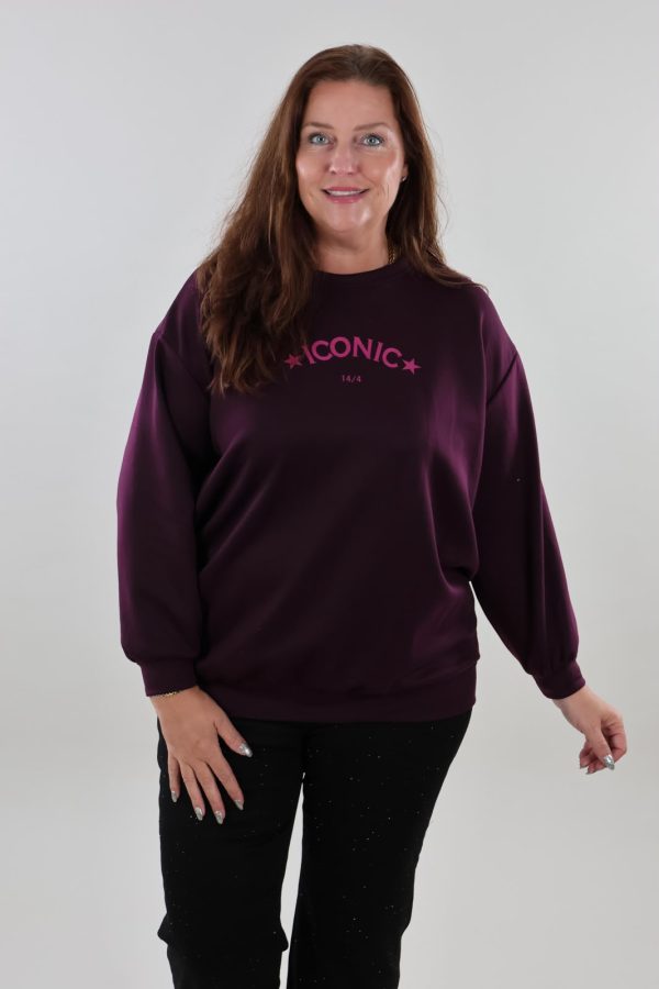 1679 Sweater Iconic Long sleeve