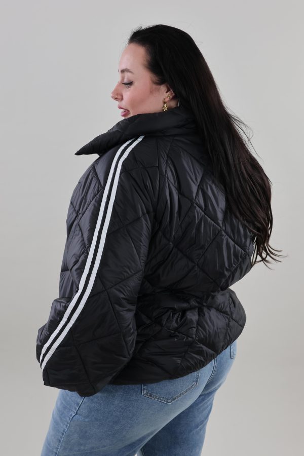 1744 Jasje Stripe Softshell