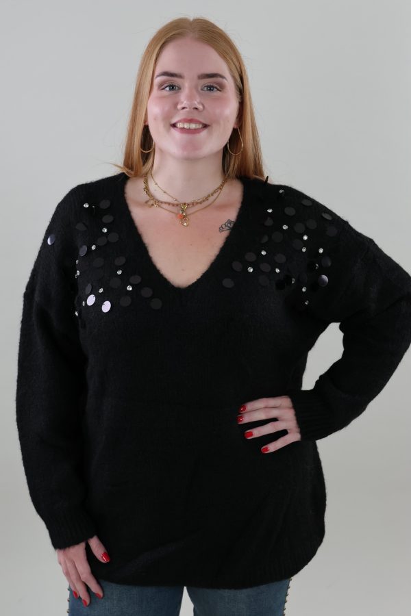 1756 Sweater Knitted Lovertjes